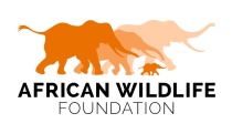 african wildlife foundation
