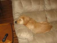 andnowwereallthewayasleep_small.jpg