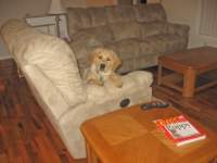 zoelovestositonthecouch_small.jpg