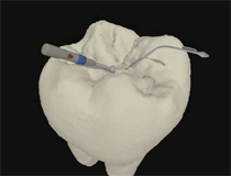 video of haptic dental
simulation