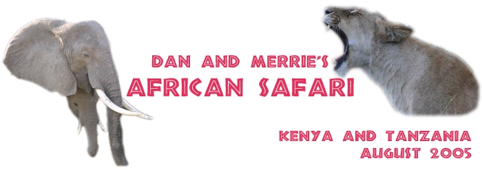 Dan and Merrie's African Safari