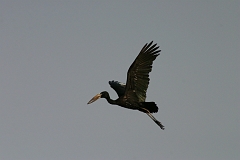 IMG_6522