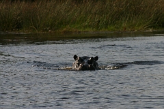 IMG_6540