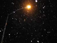 anotherartsypicture_small.jpg