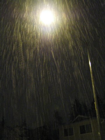 artsypicturesofthesnow.jpg
