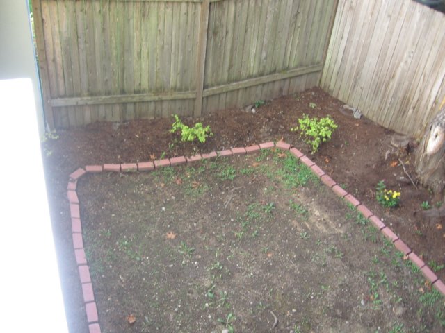 thatlookslikesomegrassthatcouldusealittlehelp.jpg
