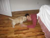 danandzoeexplorezoesnewhouse_small.jpg