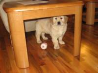 zoesfavoritespot_small.jpg