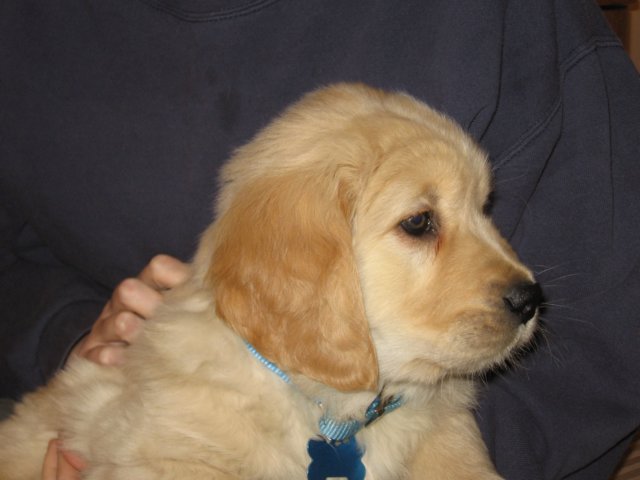 zoesfirstcloseup.jpg