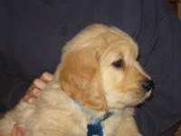 zoesfirstcloseup_small.jpg