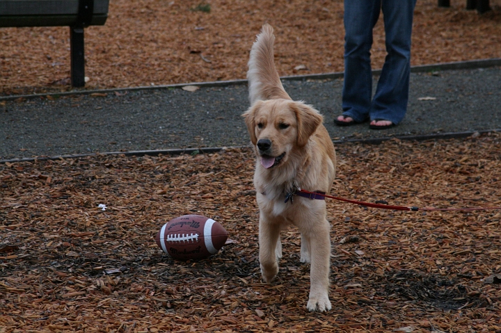IMG_0156.jpg - Okay, this football is too big to play with, what else is there at the park today?