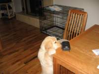 nowzoecanreachthekitchentabletoo_small.jpg