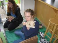 anotherpuppysleepsonmerriesshoulder_small.jpg