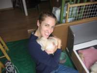 apuppyfallsasleeponmerriesshoulder_small.jpg