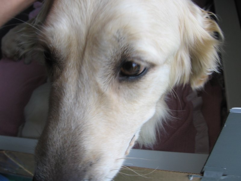 springlovesthecamera.jpg